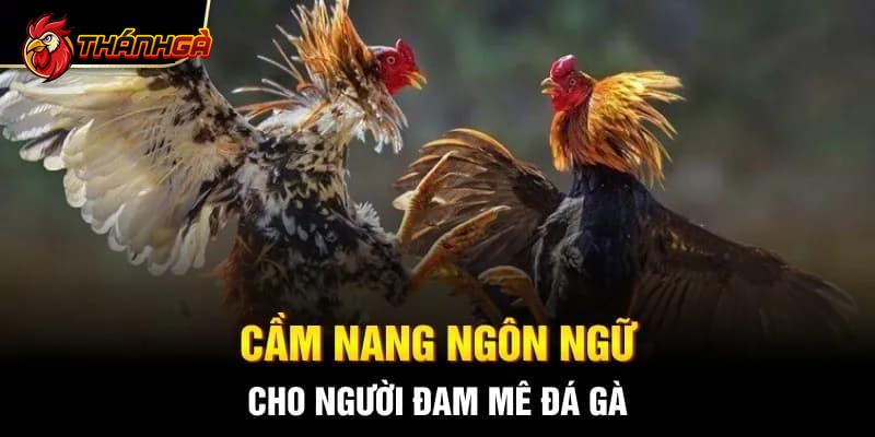 Thuật Ngữ Đá Gà Thomo