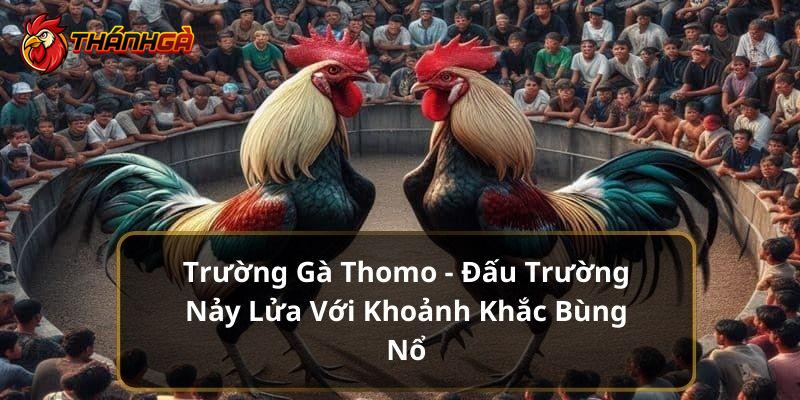 Trường Gà Thomo