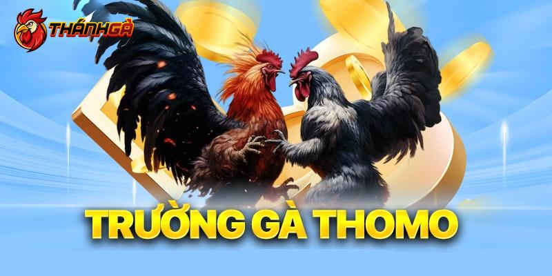 Hình thức đặt cược trực tuyến thú vị, mới lạ cho mọi người