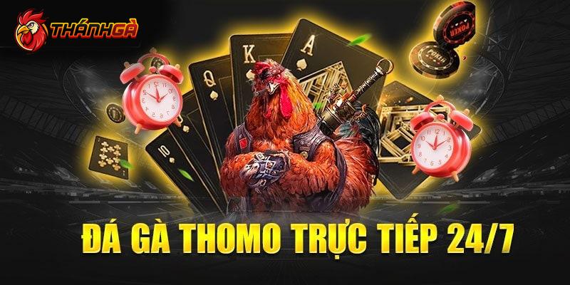 Khám phá khái quát về Trường gà Thomo là gì?